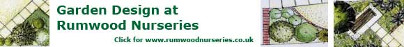 Garden Design at Rumwood Nurseries