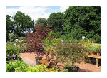 Royal Mires Nursery - New Website