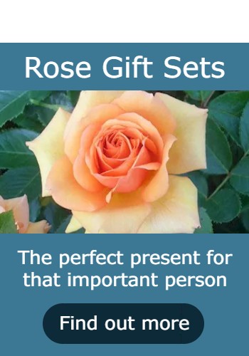 Catalogue Rose Gift Sets