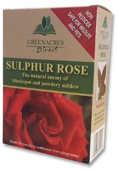 Sulphur Rose 250g