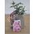 Ruby Wedding Potted Rose - Gift Set - view 2