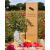 Happy Retirement Potted Rose - Gift Set - view 2