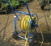 Planting Peonies